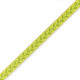 Ribbon text Leaves Light green-olive green